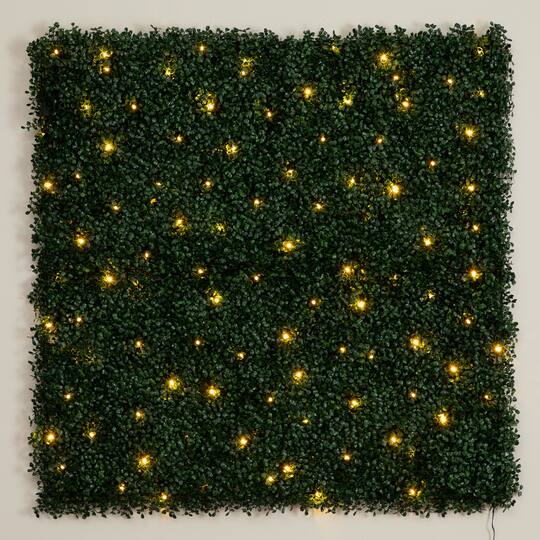 40" Pre-Lit Warm White LED Boxwood Artificial Living Wall Panel
